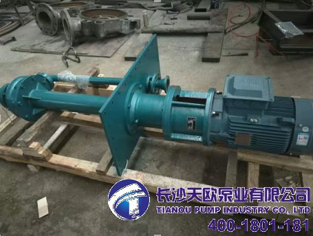 RPW不鏽鋼長軸高（gāo）溫液下油泵備發