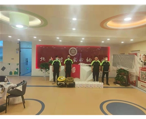 北大（dà）附屬幼兒園甲（jiǎ）醛治理